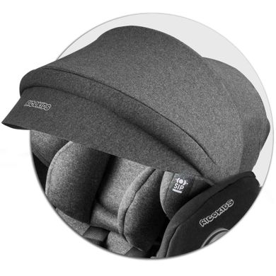 Ricokids, Stigo, fotelik samochodowy z daszkiem, obrotowy 360°, 0-36 kg, szary