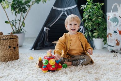 Vtech, Roztańczone Biedroneczki, zabawka edukacyjna