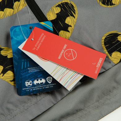 Cool Club, Kurtka chłopięca z kapturem, szara, Batman