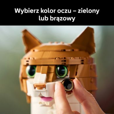 LEGO Ideas, Rudy kot, 21376