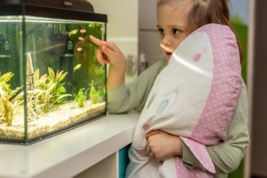 Lovely Dreams, Pani Tuliś, maskotka z pozytywką, różowa w kropki