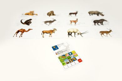 Lucrum Games, Czy wiesz, który zwierz...? Kieszonkowa fauna Afryki i Azji, gra edukacyjna