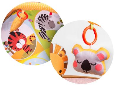 Ricokids, Lew, mata edukacyjna oraz 30 kolorowych piłeczek