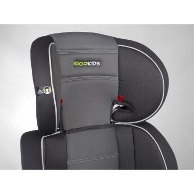 Ricokids, Sandro, fotelik samochodowy, 15-36 kg, szary
