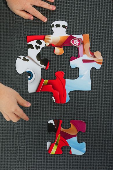 Trefl, Primo, Psi Patrol, Drużyna Paw Patrol, puzzle maxi, 2-10 elementów