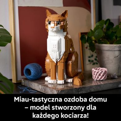 LEGO Ideas, Rudy kot, 21376