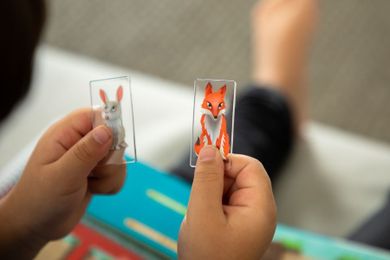 Smart Games, Królicza Norka, gra logiczna