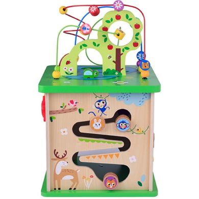 Tooky Toy, drewniana kostka aktywności, sorter