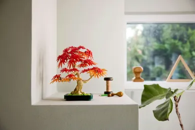 LEGO Botanicals, Klon palmowy bonsai, 10348
