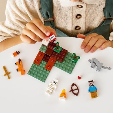 LEGO Minecraft, Przygoda w tajdze, 21162