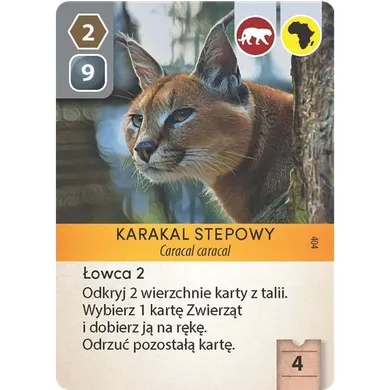 Portal Games, Ark Nova, gra strategiczna