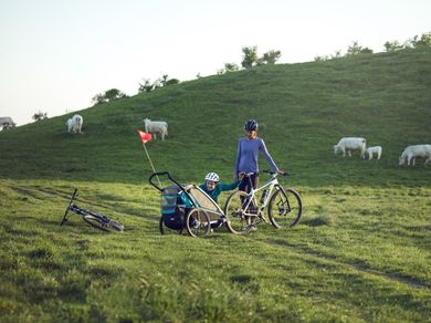 Thule, Chariot Sport 1, przyczepka rowerowa dla dziecka, zielono-niebieska