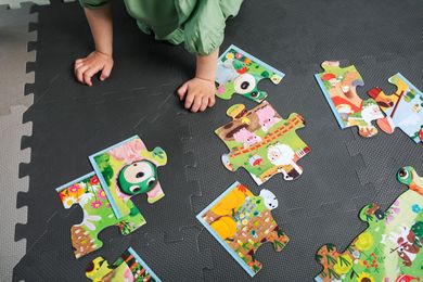 Trefl, Primo, Bobaski i Miś, Poznaj Bobaski, puzzle maxi, 2-10 elementów