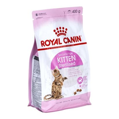 Second age kitten sterilised on sale