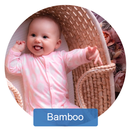 Bamboo