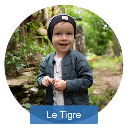 Le Tigre