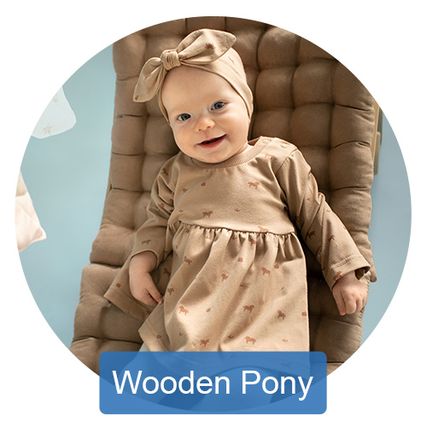 Wooden Pony