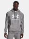 Bluza męska z kapturem, szara, Under Armour