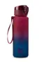 CoolPack, Brisk, bidon, Gradient Costa, 600 ml