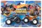 Hot Wheels, Monster Trucks, Bigbite & Bigfoot, zestaw 2 aut, skala 1:64, HWN62