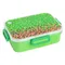 Kayokki, lunchbox dzielony, Piksele