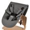 Leander, Newborn Seat, noworodkowe siedzisko do krzesełka do karmienia Louie i Classic, cool grey