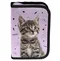 Paso, piórnik rozkładany, pojedynczy, z wyposażeniem, Striped Cat