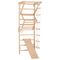 Rinagym, drewniana drabinka gimnastyczna, Sport 3, naturalny