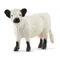 Schleich, Farm World, Krowa rasy Galloway, figurka, 13960