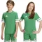 T-shirt dziecięcy, zielony, Adidas Squadra