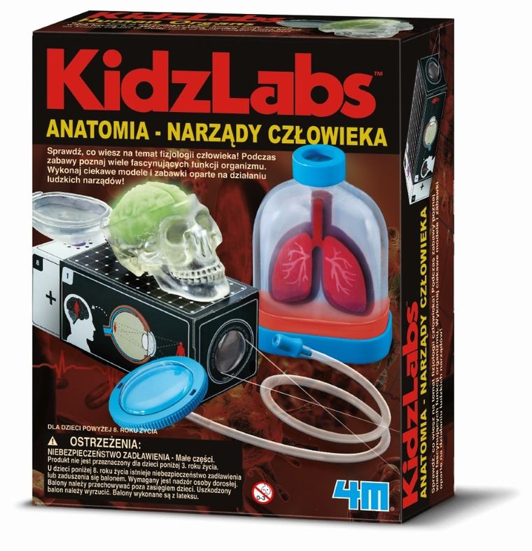 4M, Zestaw kreatywny, Anatomia - narządy człowieka