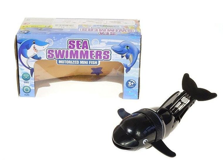 Adar, delfin pływający