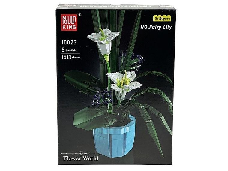 Adar, klocki - orchidea w doniczce