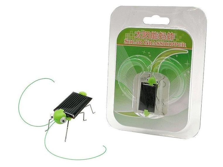 Adar, konik polny, solarny