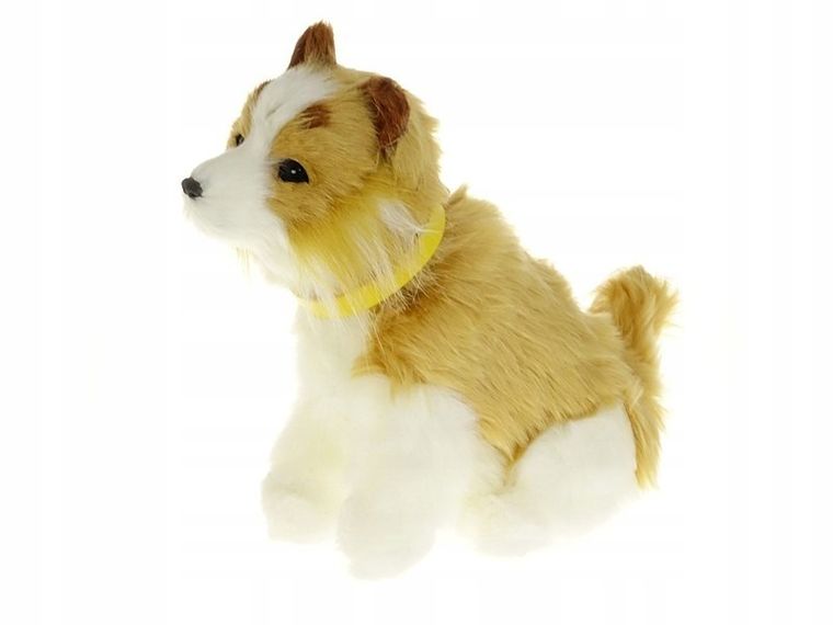 Adar, piesek, zabawka interaktywna