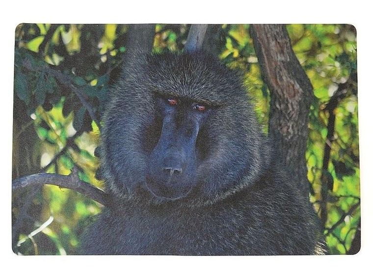 Adar, podkładka na biurko, piankowa, małpa, 60-40 cm