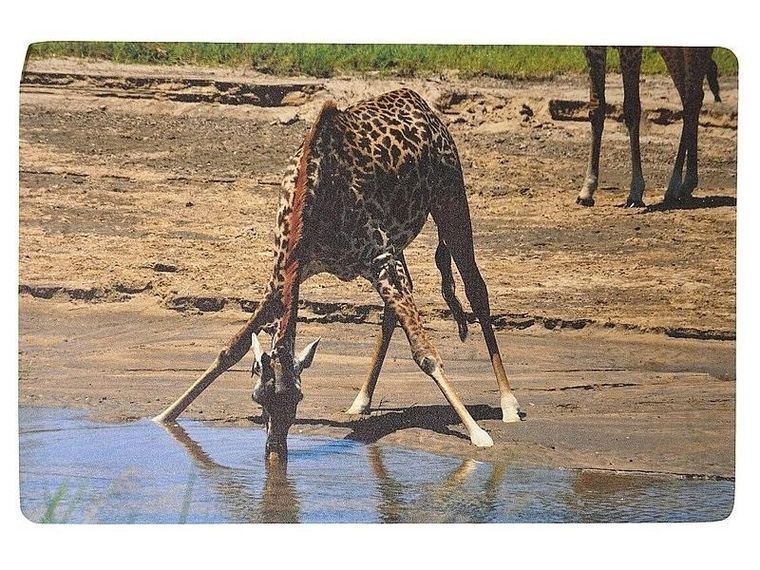 Adar, podkładka na biurko, piankowa, żyrafa, 60-40 cm