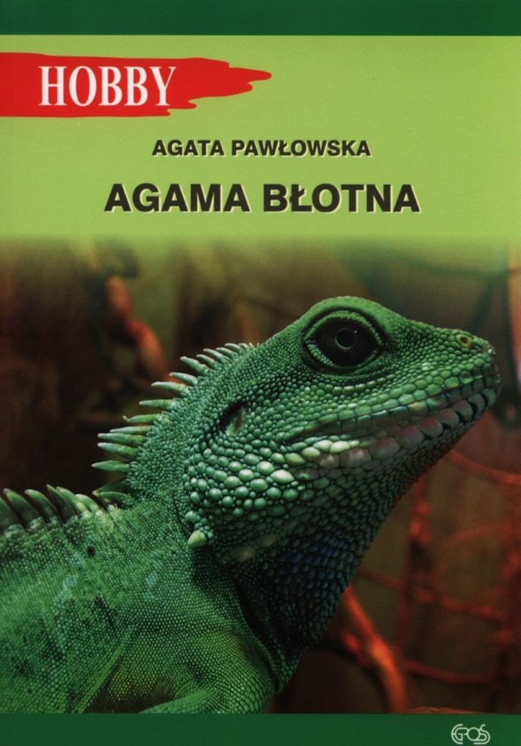 Agama błotna