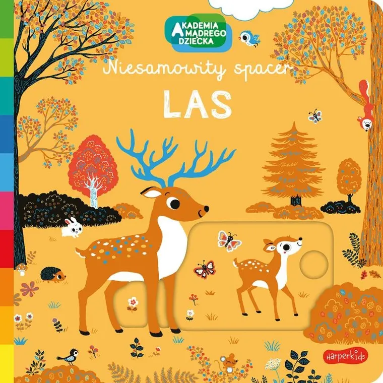 Akademia Mądrego Dziecka. Niesamowity spacer. Las