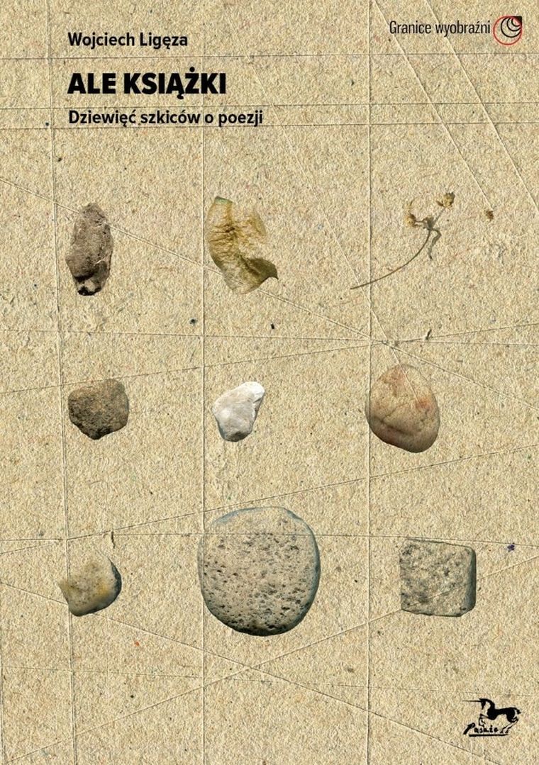 Ale książki. Dziewięć szkiców o poezji