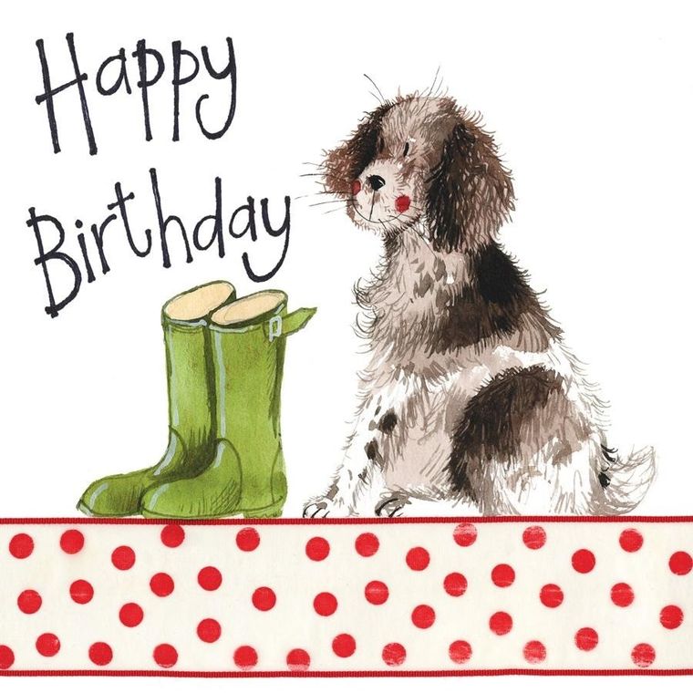 Alex Clark, karnet na urodziny, pies i kalosze