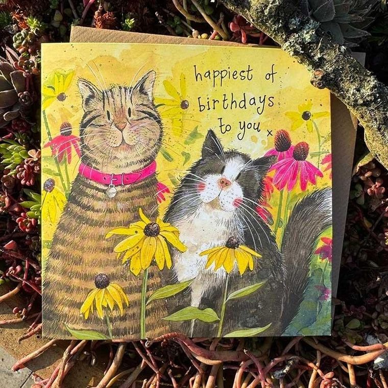 Alex Clark, karnet urodzinowy, 2 koty w kwiatach