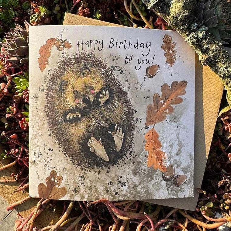 Alex Clark, karnet urodzinowy, jeżyk na plecach