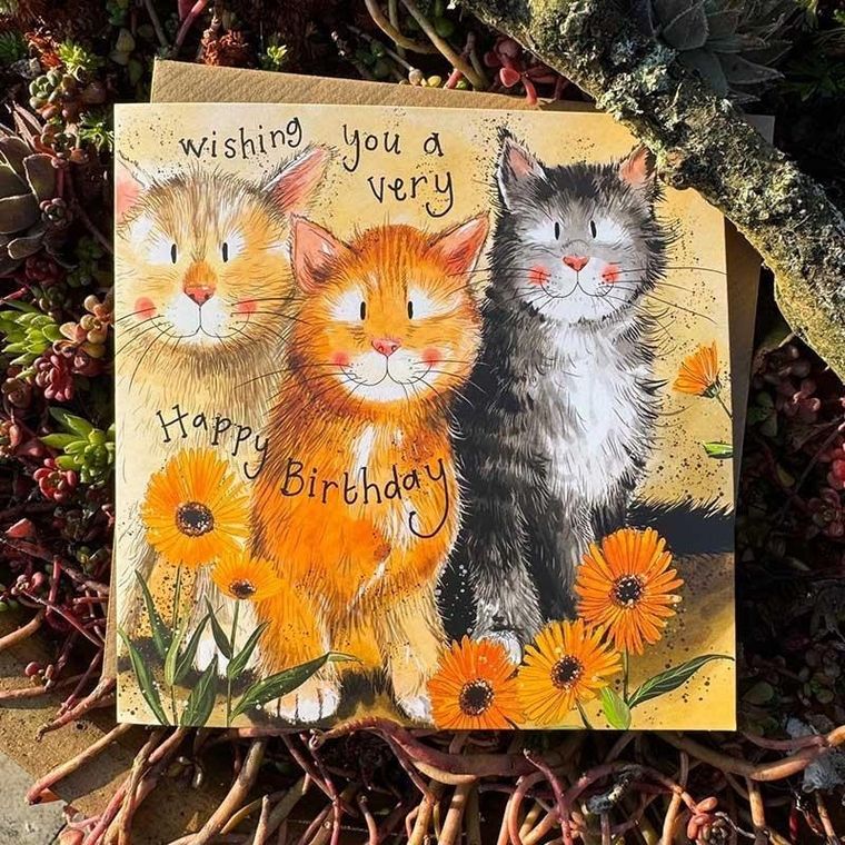 Alex Clark, karnet urodzinowy, koty i nagietki