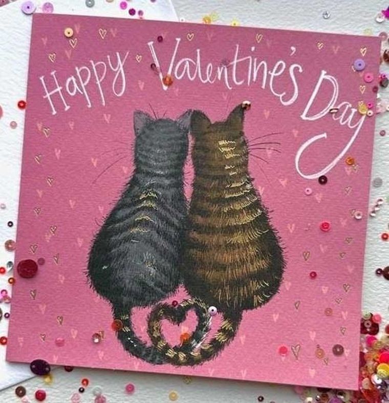 Alex Clark, karnet, walentynki, zakochane koty