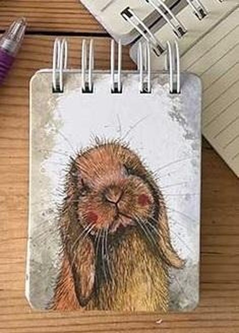 Alex Clark, kołonotes A7, Króliczek, 1 szt.