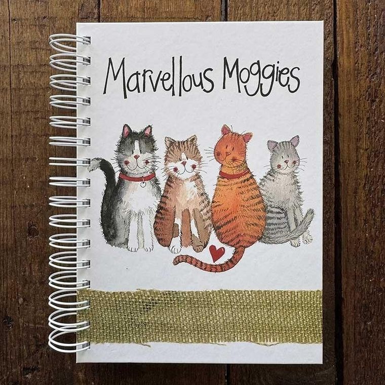 Alex Clark, kołozeszyt A5, 100 kartek, gładki, 4 koty, 1 szt.