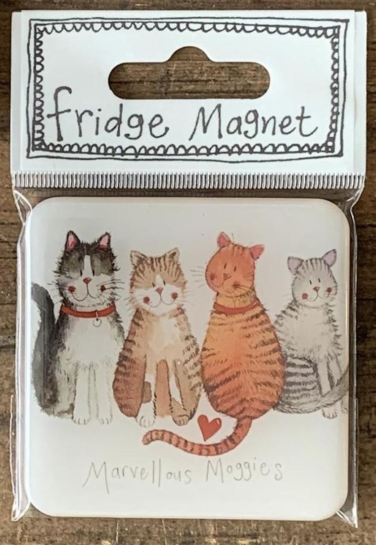 Alex Clark, magnes, 4 koty