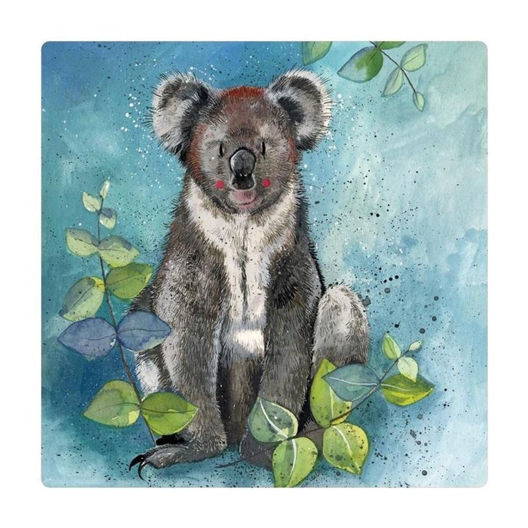 Alex Clark, magnes, Koala