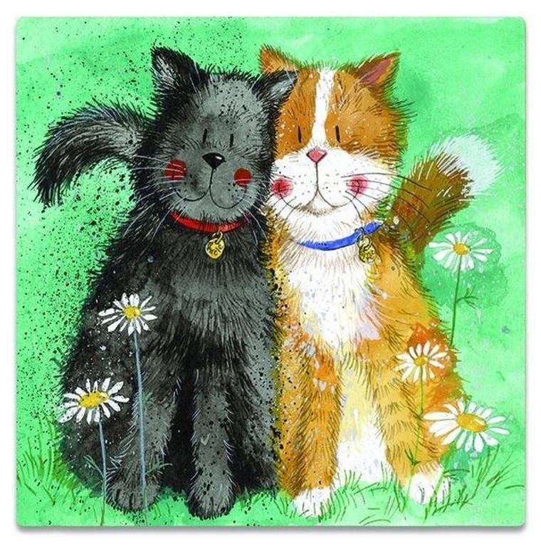 Alex Clark, magnes, Koty Toffee i Treacle